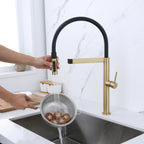 Stainless Steel Magnetic Docking Pull Out Sprayer 3-Way Mixer Tap-gold